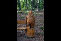 Skulptur Adler