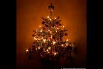 Der Weihnachtsbaum bekommt durch eine Langzeitbelichtung einen natürlichen Sterneneffekt. Bei dieser Aufnahme ist ein Stativ pflicht!
