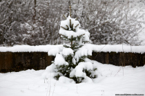 Winterzeit. Schnee am 18. Januar 2023 in Weikersheim.