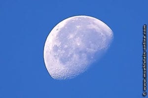 Luna. Vollmond. Abnehmender Mond. Nachtmond.